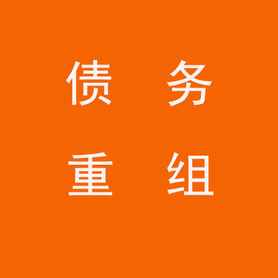 米易个人债务重组优化